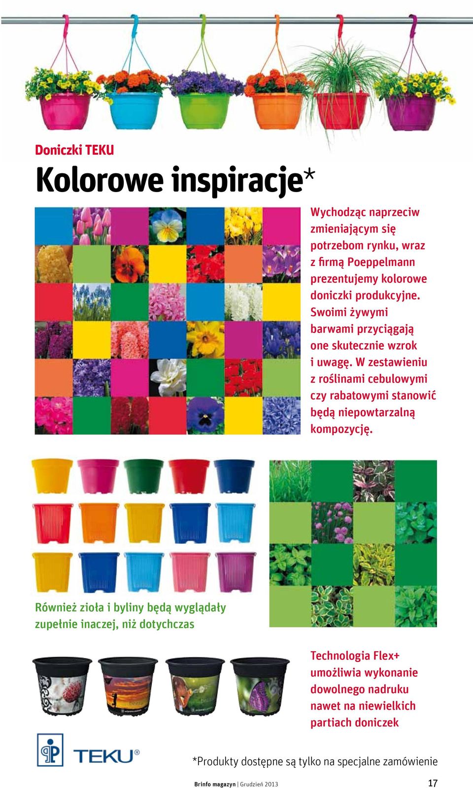 W zestawieniu z roślinami cebulowymi czy rabatowymi stanowić będą niepowtarzalną kompozycję.