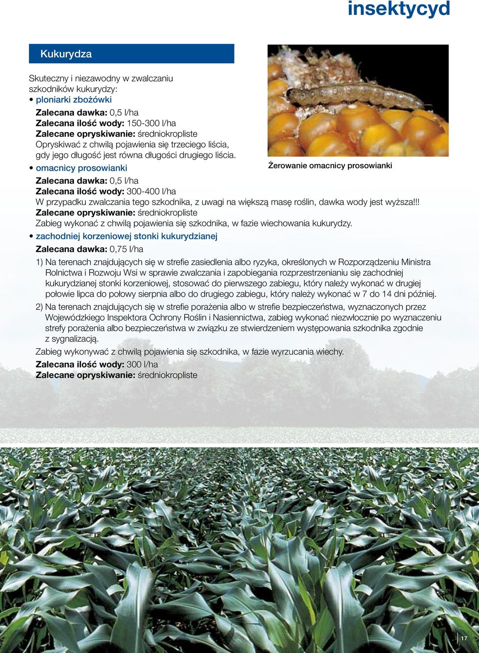 omacnicy prosowianki Żerowanie omacnicy prosowianki Zalecana dawka:,5 l/ha Zalecana ilość wody: 3- l/ha W przypadku zwalczania tego szkodnika, z uwagi na większą masę roślin, dawka wody jest wyższa!