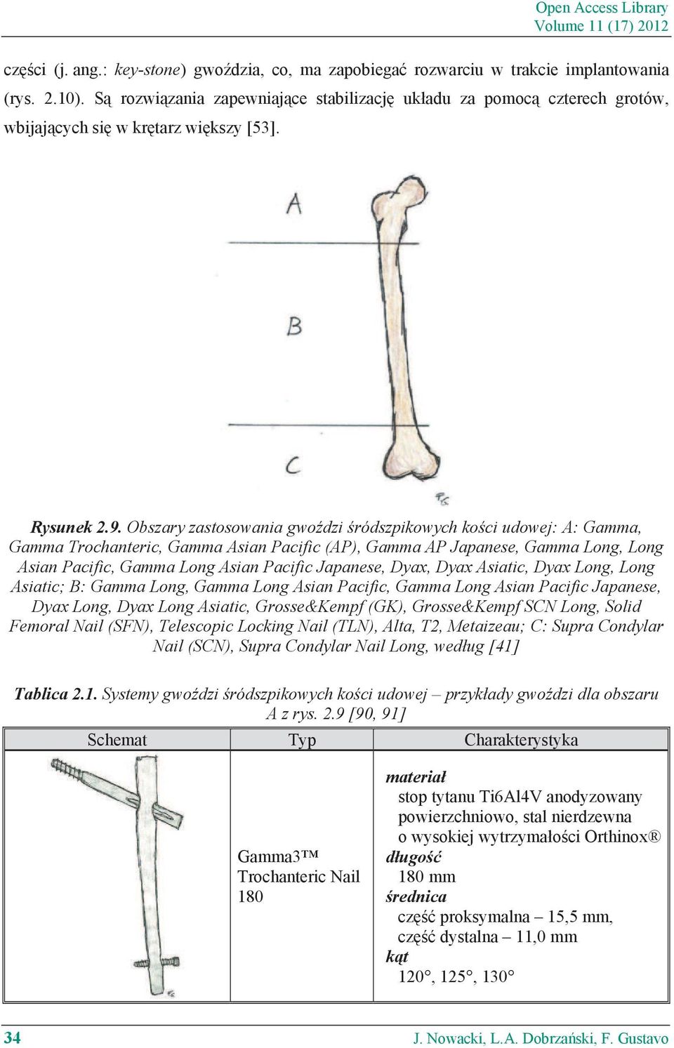 Obszary zastosowania gwo dzi ródszpikowych ko ci udowej: A: Gamma, Gamma Trochanteric, Gamma Asian Pacific (AP), Gamma AP Japanese, Gamma Long, Long Asian Pacific, Gamma Long Asian Pacific Japanese,