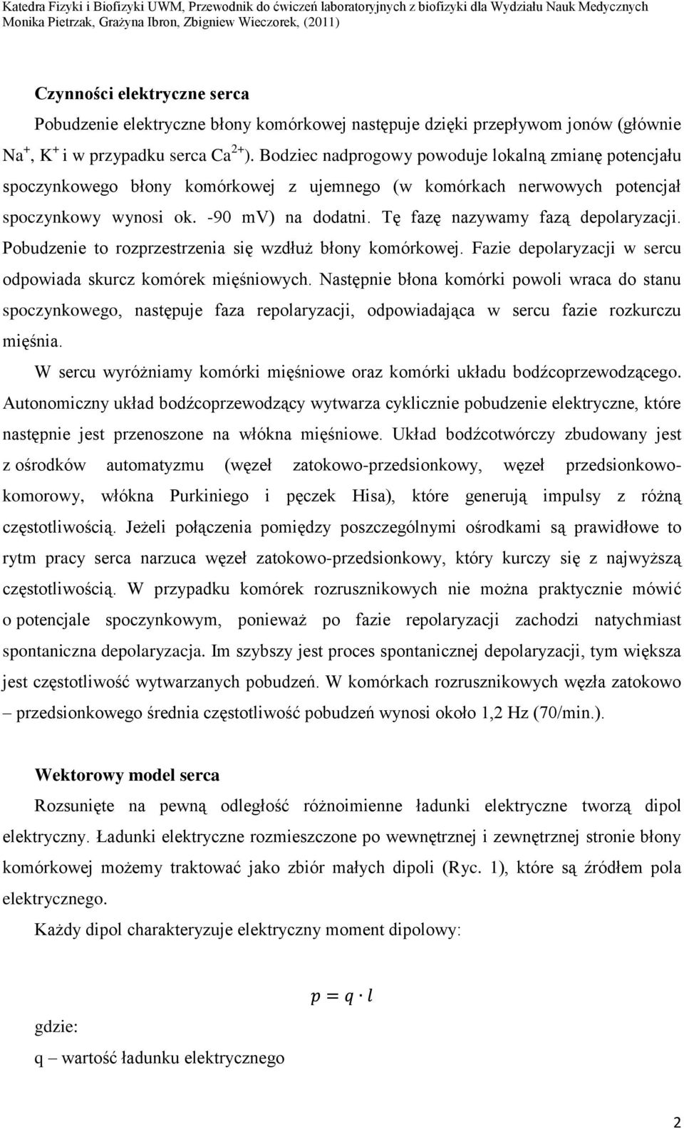 Tę fazę nazywamy fazą depolaryzacji. Pobudzenie to rozprzestrzenia się wzdłuż błony komórkowej. Fazie depolaryzacji w sercu odpowiada skurcz komórek mięśniowych.