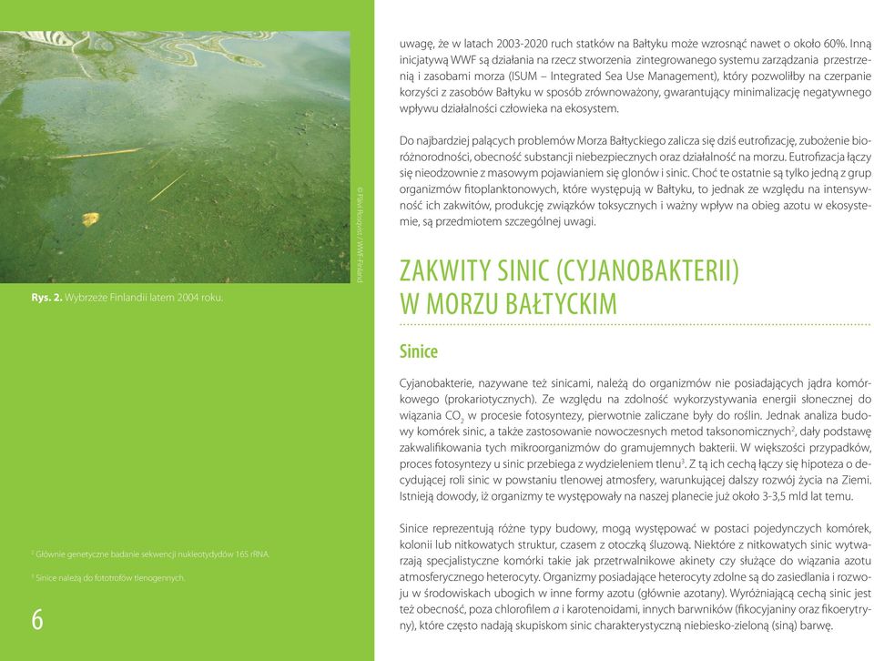 zasobów Bałtyku w sposób zrównoważony, gwarantujący minimalizację negatywnego wpływu działalności człowieka na ekosystem. Rys. 2. Wybrzeże Finlandii latem 2004 roku.