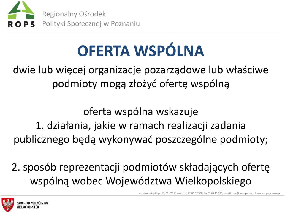 działania, jakie w ramach realizacji zadania publicznego będą wykonywać