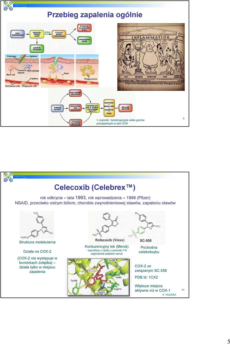 COX-2 (COX-2 nie występuje w komórkach żołądka) działa tylko w miejscu zapalenia Konkurencyjny lek (Merck) - wycofany z rynku z