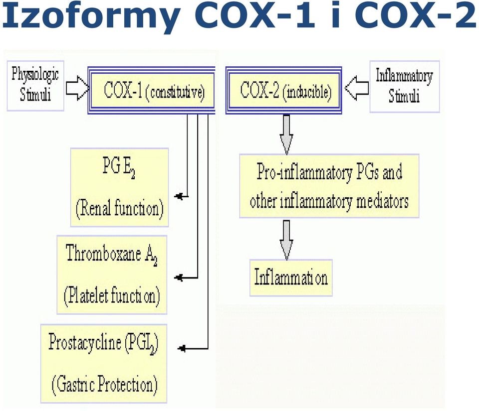 COX-2