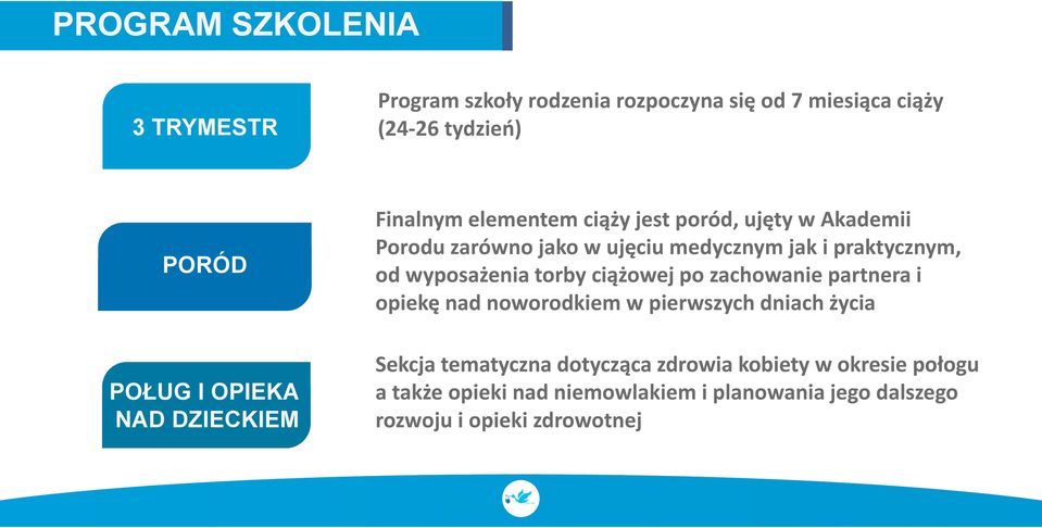 od wyposażenia torby ciążowej po zachowanie partnera i opiekę nad noworodkiem w pierwszych dniach życia Sekcja tematyczna