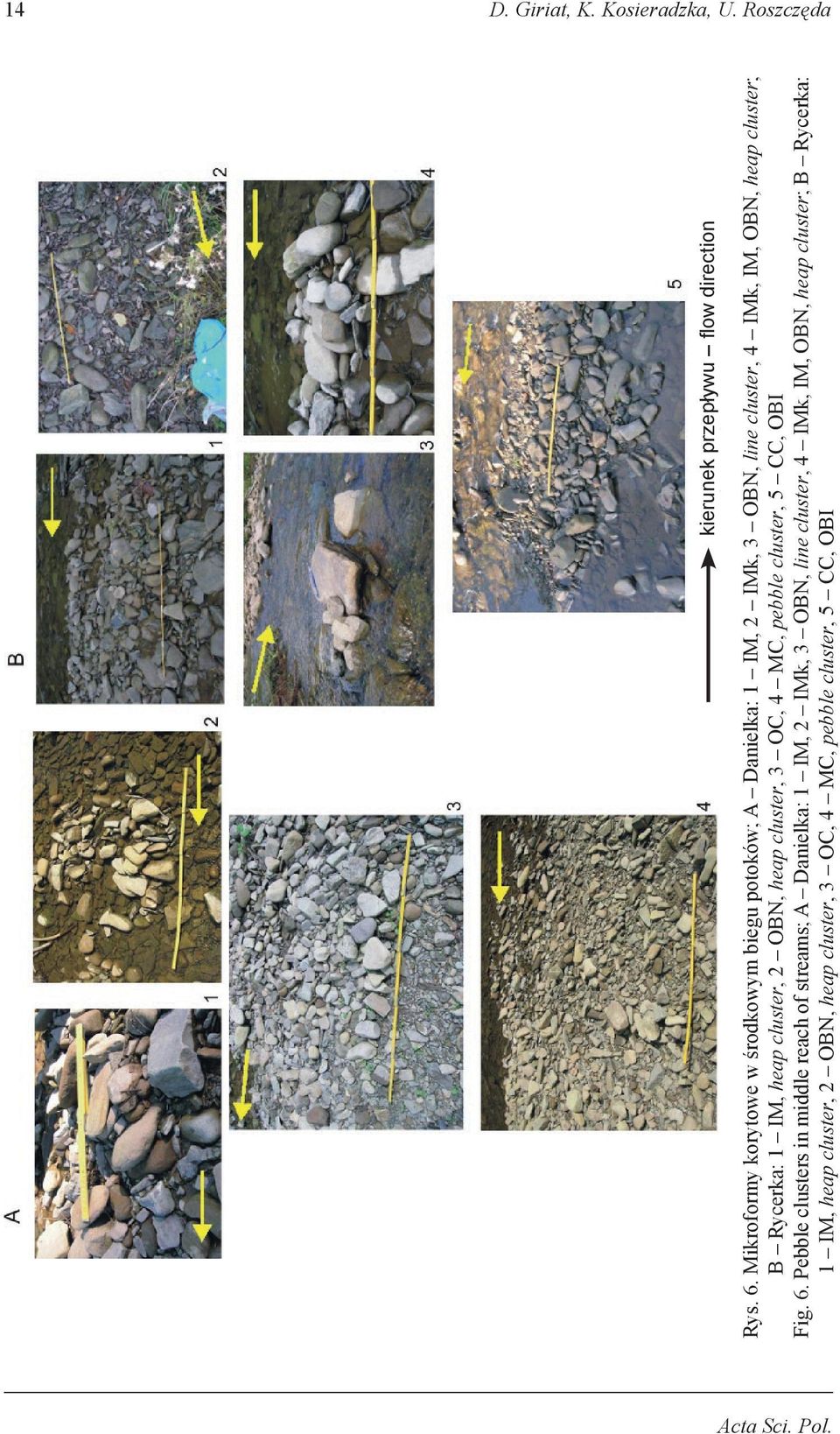 Rycerka: 1 IM, heap cluster, 2 OBN, heap cluster, 3 OC, 4 MC, pebble cluster, 5 CC, OBI Fig. 6.