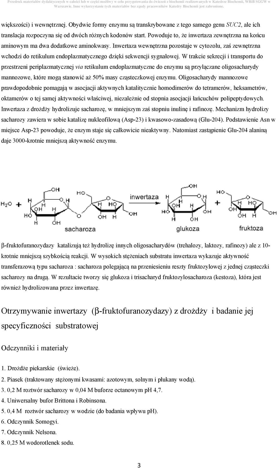 Inwertaza wewnętrzna pozostaje w cytozolu, zaś zewnętrzna wchodzi do retikulum endoplazmatycznego dzięki sekwencji sygnałowej.