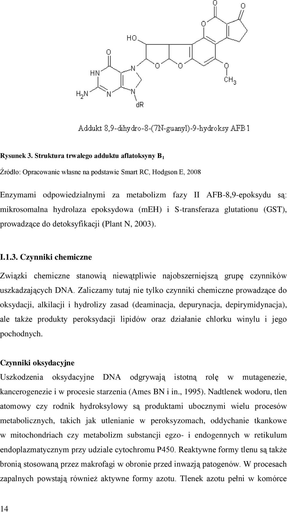 hydrolaza epoksydowa (meh) i S-transferaza glutationu (GST), prowadzące do detoksyfikacji (Plant N, 2003)