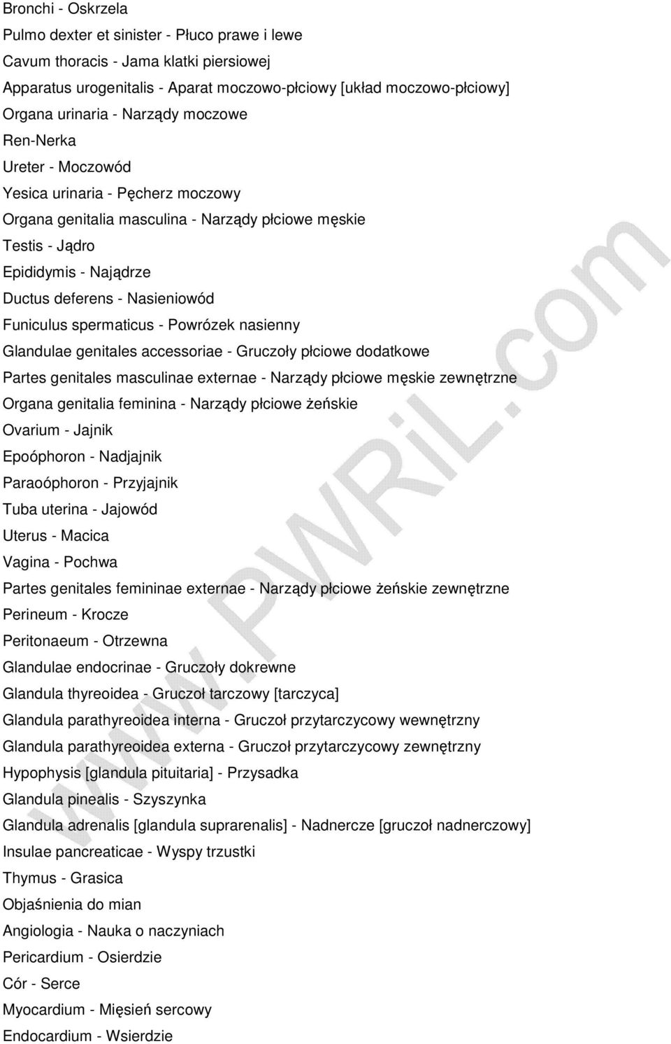 Funiculus spermaticus - Powrózek nasienny Glandulae genitales accessoriae - Gruczoły płciowe dodatkowe Partes genitales masculinae externae - Narządy płciowe męskie zewnętrzne Organa genitalia