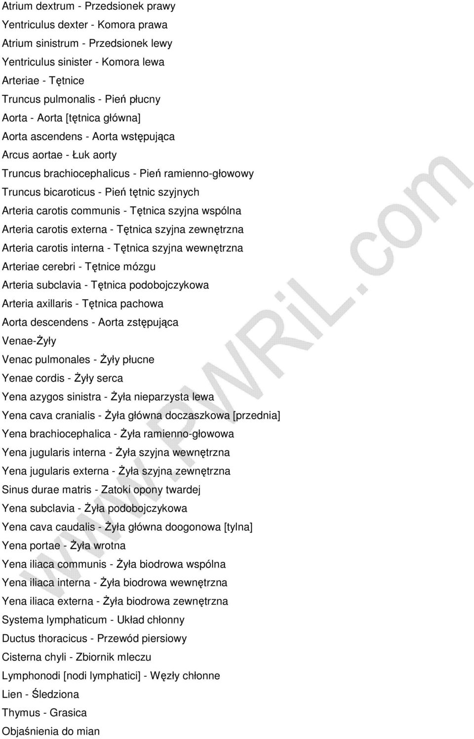 communis - Tętnica szyjna wspólna Arteria carotis externa - Tętnica szyjna zewnętrzna Arteria carotis interna - Tętnica szyjna wewnętrzna Arteriae cerebri - Tętnice mózgu Arteria subclavia - Tętnica