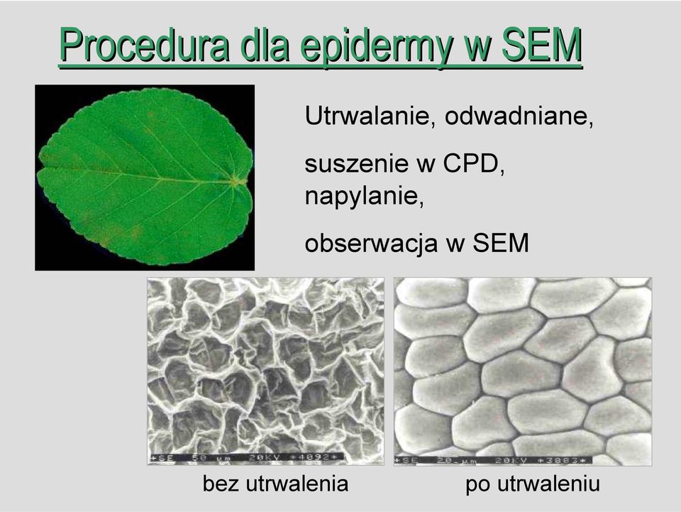 suszenie w CPD, napylanie,