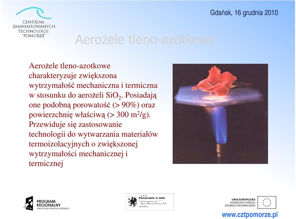 Posiadają one podobną porowatość (> 90%) oraz powierzchnię właściwą (> 300 m 2 /g).