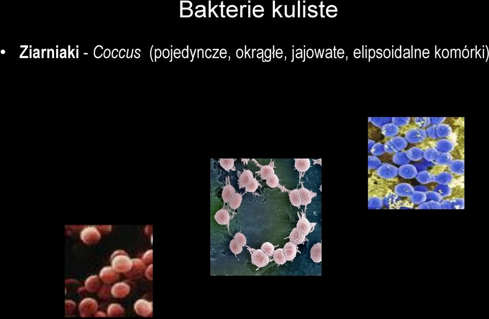 (pojedyncze, okrągłe,