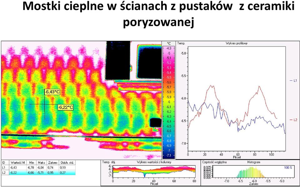 pustaków z