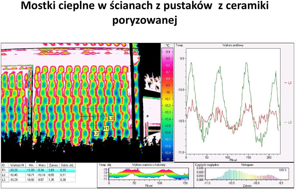 pustaków z