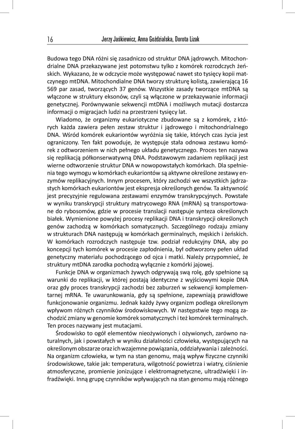 Mitochondialne DNA tworzy strukturę kolistą, zawierającą 16 569 par zasad, tworzących 37 genów.