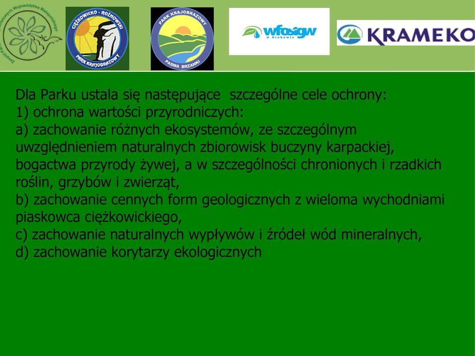 szczególności chronionych i rzadkich roślin, grzybów i zwierząt, b) zachowanie cennych form geologicznych z wieloma