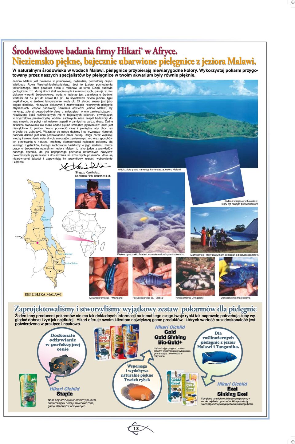Jezioro Malawi jest położone w południowej, najbardziej podzielonej części Wielkiego Rowu Wschodnioafrykańskiego. Jest to jezioro pochodzenia tektonicznego, które powstało około 2 milionów lat temu.