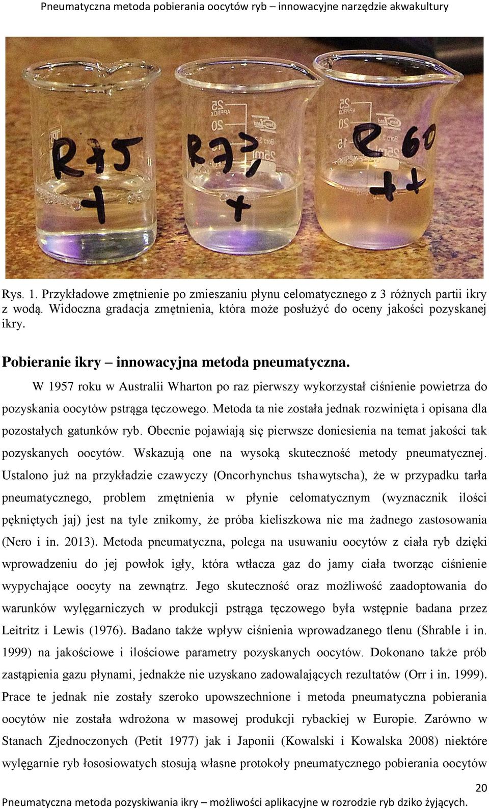 W 1957 roku w Australii Wharton po raz pierwszy wykorzystał ciśnienie powietrza do pozyskania oocytów pstrąga tęczowego. Metoda ta nie została jednak rozwinięta i opisana dla pozostałych gatunków ryb.