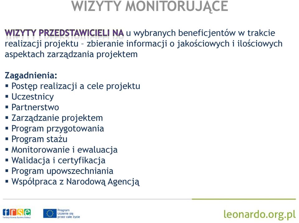 cele projektu Uczestnicy Partnerstwo Zarządzanie projektem Program przygotowania Program stażu