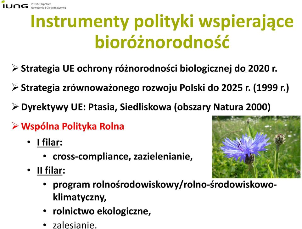 ) Dyrektywy UE: Ptasia, Siedliskowa (obszary Natura 2000) Wspólna Polityka Rolna I filar: cross