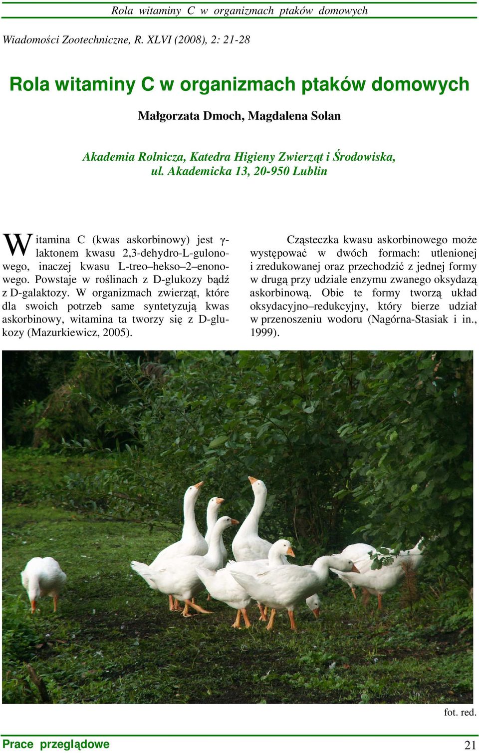Akademicka 13, 20-950 Lublin W itamina C (kwas askorbinowy) jest γ- laktonem kwasu 2,3-dehydro-L-gulonowego, inaczej kwasu L-treo hekso 2 enonowego.