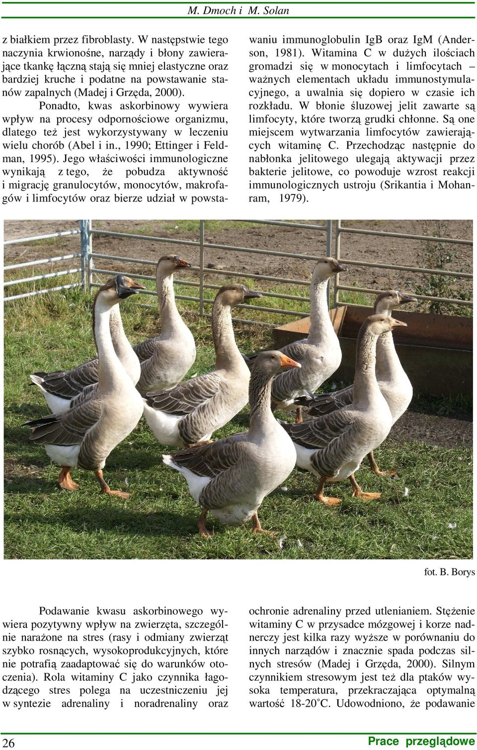Ponadto, kwas askorbinowy wywiera wpływ na procesy odpornościowe organizmu, dlatego teŝ jest wykorzystywany w leczeniu wielu chorób (Abel i in., 1990; Ettinger i Feldman, 1995).