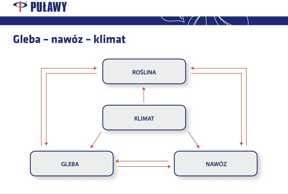 klimat