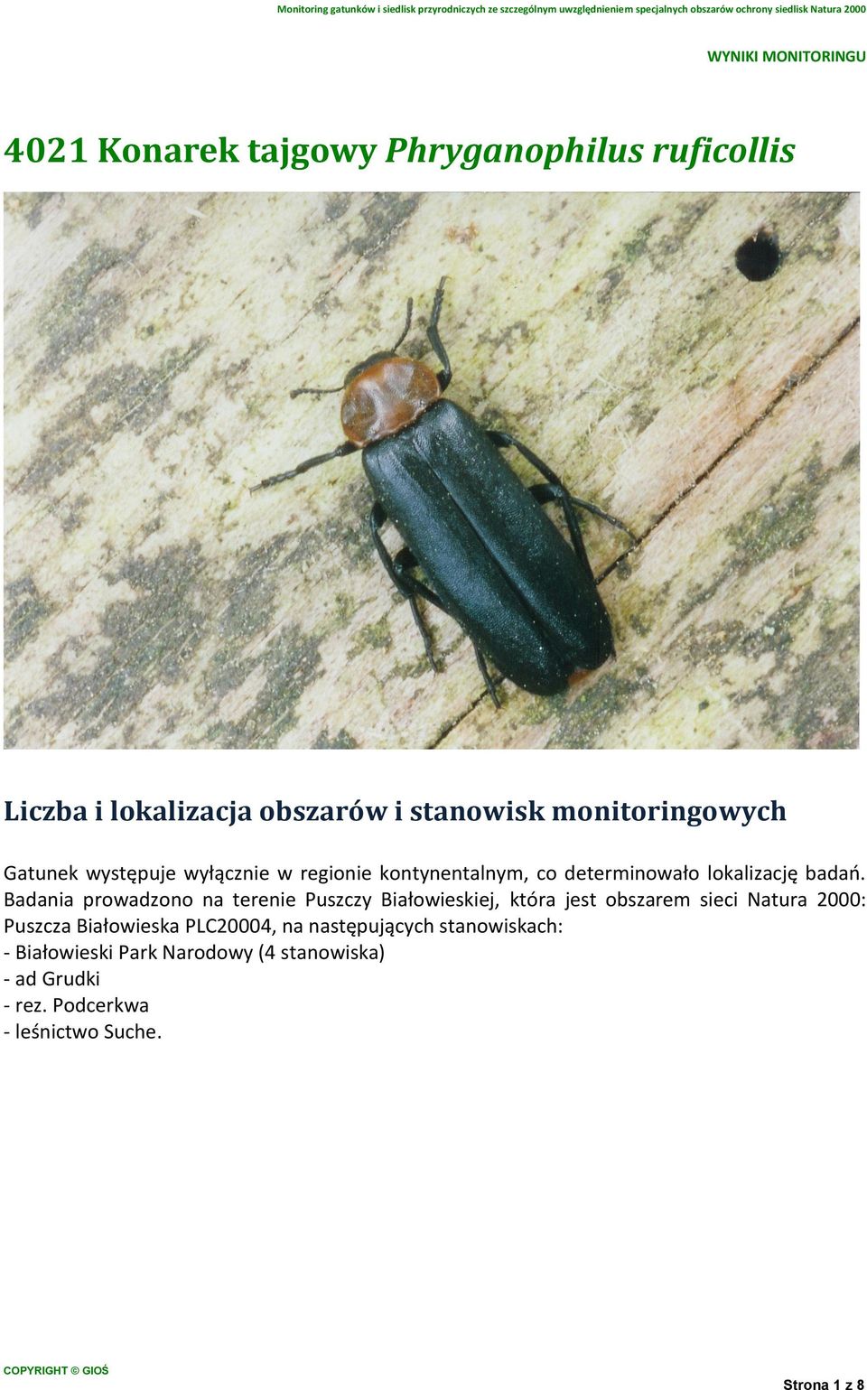 Badania prowadzono na terenie Puszczy Białowieskiej, która jest obszarem sieci Natura 2000: Puszcza Białowieska