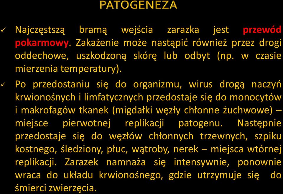 Po przedostaniu się do organizmu, wirus drogą naczyń krwionośnych i limfatycznych przedostaje się do monocytów i makrofagów tkanek (migdałki węzły chłonne