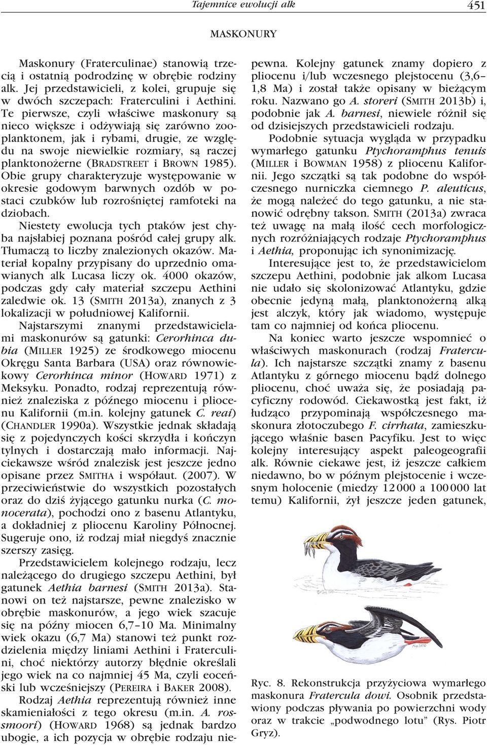 Te pierwsze, czyli właściwe maskonury są nieco większe i odżywiają się zarówno zooplanktonem, jak i rybami, drugie, ze względu na swoje niewielkie rozmiary, są raczej planktonożerne (Bradstreet i