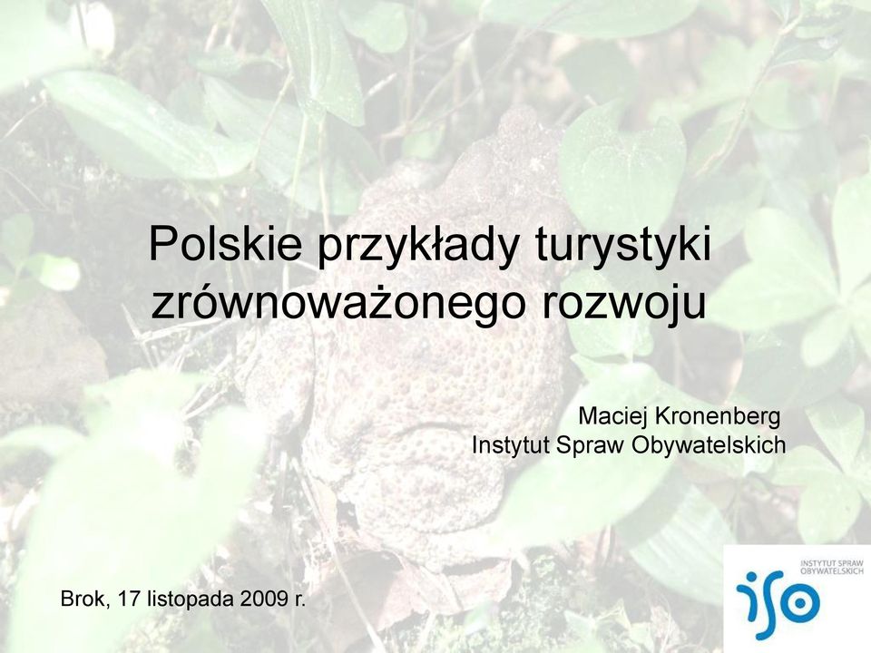 Podaj Po Dwa Przykłady Negatywnych Skutków Rozwoju Turystyki Polskie przykłady turystyki zrównoważonego rozwoju - PDF Free Download