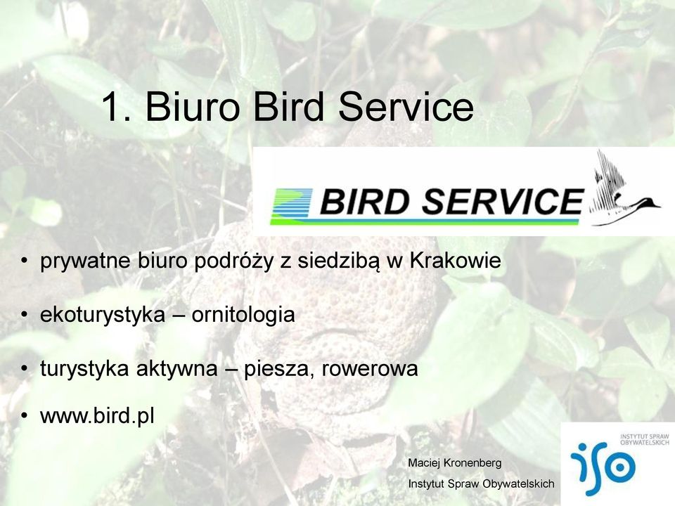 Krakowie ekoturystyka ornitologia