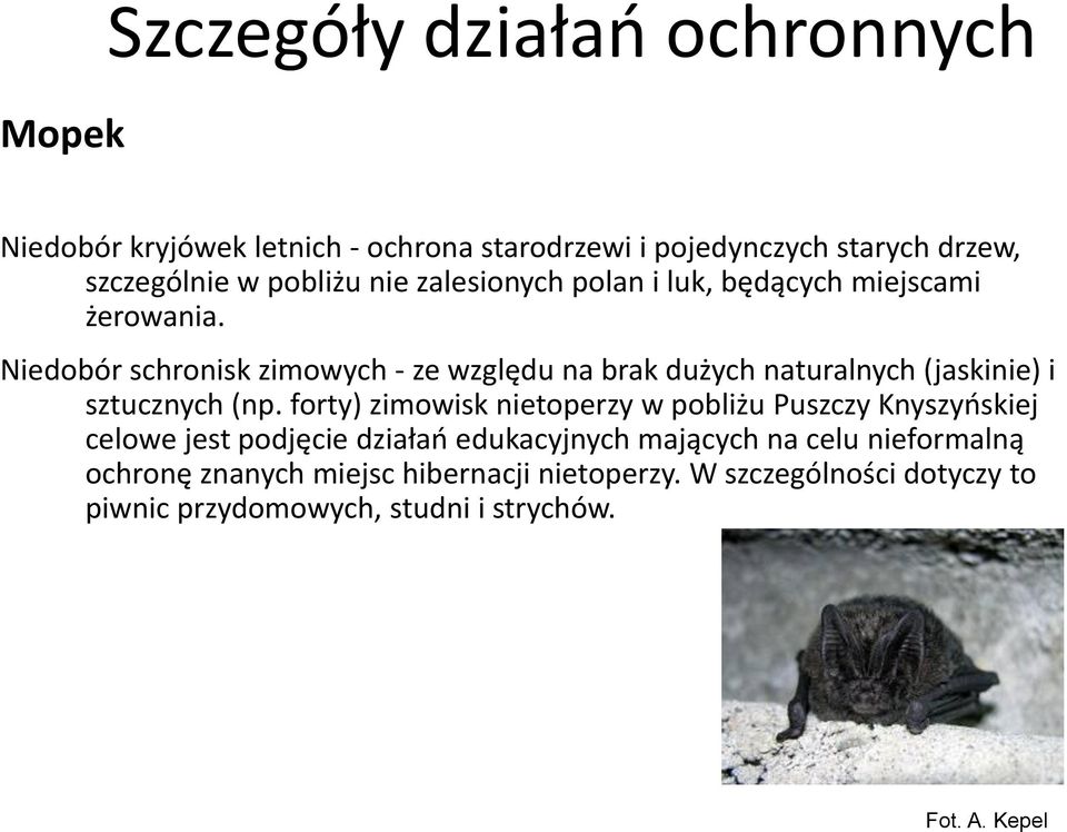 Niedobór schronisk zimowych - ze względu na brak dużych naturalnych (jaskinie) i sztucznych (np.