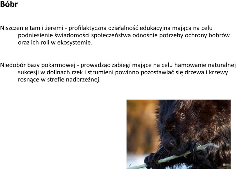 ekosystemie.