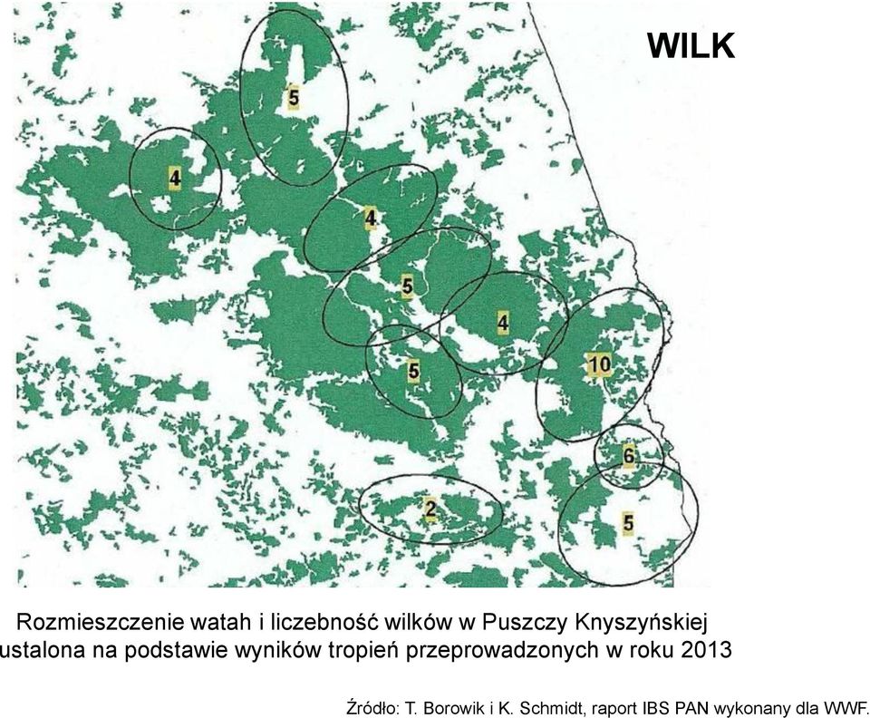 tropień przeprowadzonych w roku 2013 Źródło: T.