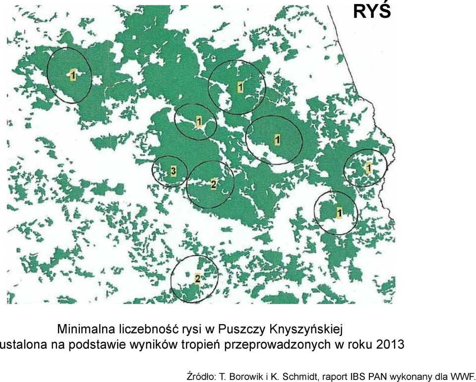 tropień przeprowadzonych w roku 2013 Źródło: T.