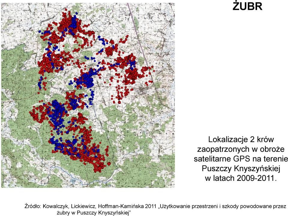 Źródło: Kowalczyk, Lickiewicz, Hoffman-Kamińska 2011