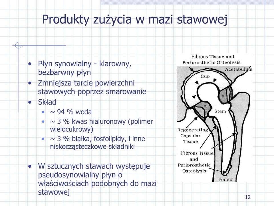 (polimer wielocukrowy) ~ 3 % białka, fosfolipidy, i inne niskocząsteczkowe składniki W