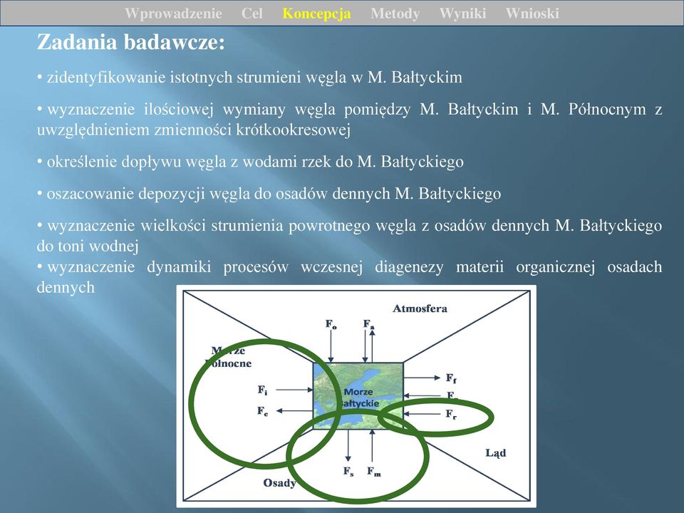 Bałtyckiego oszacowanie depozycji węgla do osadów dennych M.