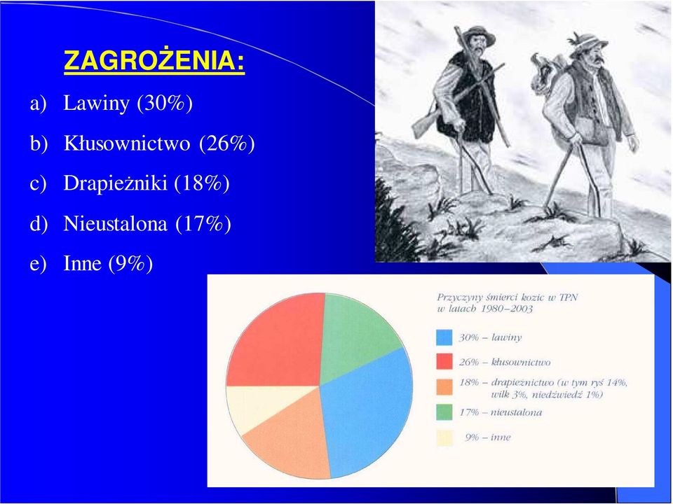 (26%) c) Drapieżniki