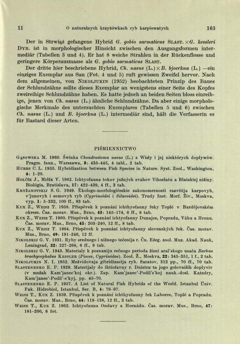 gobio sarmaticus Sl a s t. Der dritte hier bescbriebene Hybrid, Ch. nasus (L.)xB. bjoerlcna (L.) ein einziges Exemplar aus San (Fot. 4 und 5) ruft gewissen Zweifel hervor.