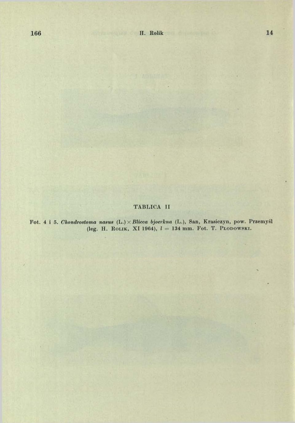 ), San, Krasiczyn, pow. Przemyśl (leg. H.