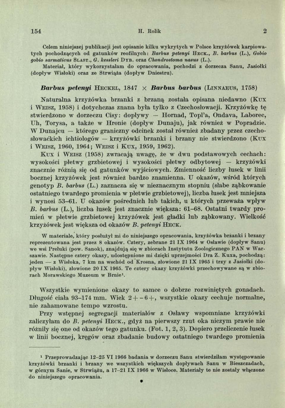 e c k., B. barbus (L.), Gobio gobio sarmaticus Sla st., G. kessleri D y b. oraz Chondrostoma nasus (L.). Material, który wykorzystałam do opracowania, pochodzi z dorzecza Sanu, Jasiołki (dopływ Wisłoki) oraz ze Strwiąża (dopływ Dniestru).