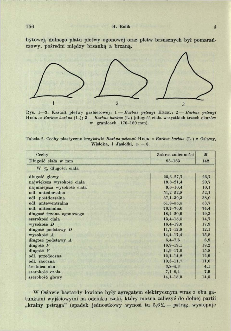 x Barbus barbus (L.) z Osławy, Wisłoka, i Jasiołki, n = 8.