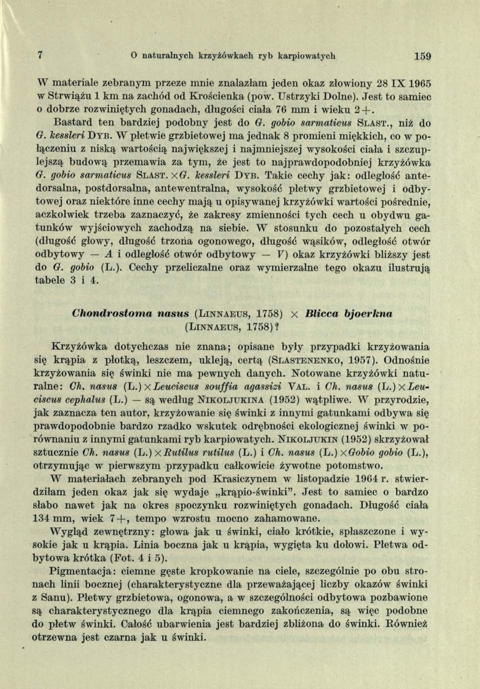 W płetwie grzbietowej ma jednak 8 promieni miękkich, co w połączeniu z niską wartością największej i najmniejszej wysokości ciała i szczuplejszą budową przemawia za tym, że jest to najprawdopodobniej