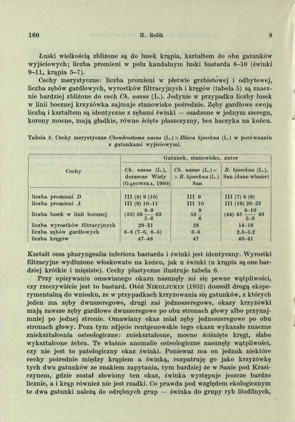 są znacznie bardziej zbliżone do cech Ch. nasus (L.). Jedynie w przypadku liczby łusek w linii bocznej krzyżówka zajmuje stanowisko pośrednie.
