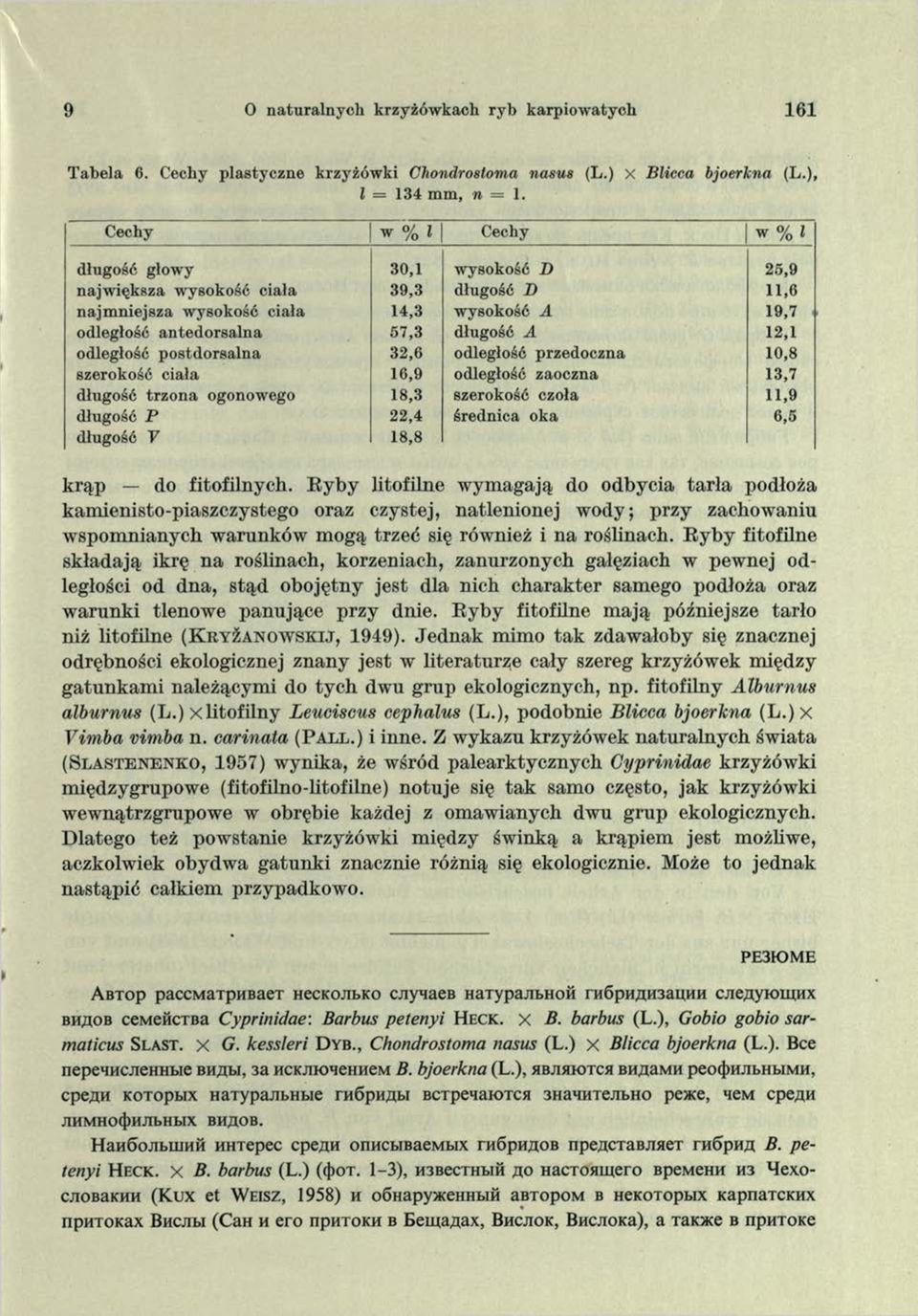 odległość postdorsalna 32,6 odległość przedoczna 10,8 szerokość ciała 16,9 odległość zaoczna 13,7 długość trzona ogonowego 18,3 szerokość czoła 11,9 długość P 22,4 średnica oka 6,5 długość V 18,8