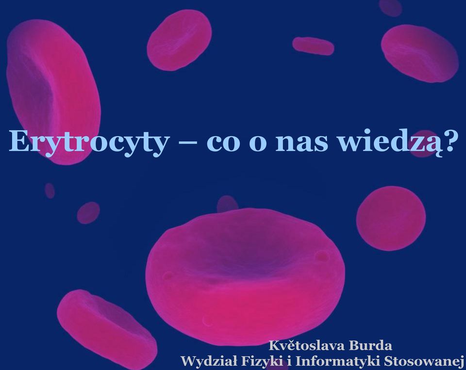 Květoslava Burda