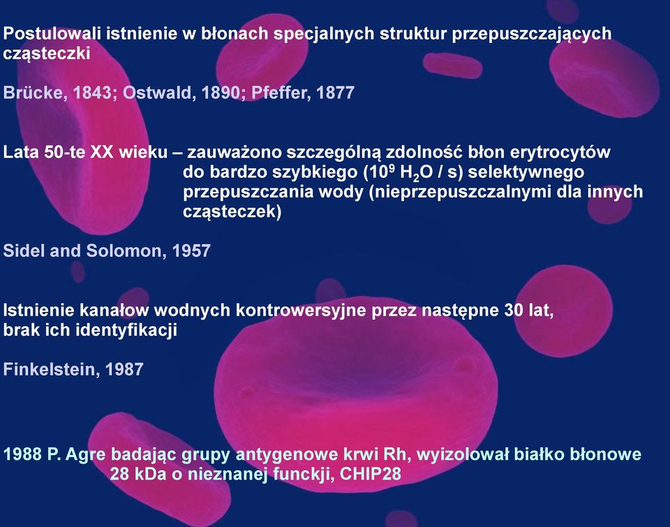 (nieprzepuszczalnymi dla innych cząsteczek) Sidel and Solomon, 1957 Istnienie kanałow wodnych kontrowersyjne przez następne 30 lat,